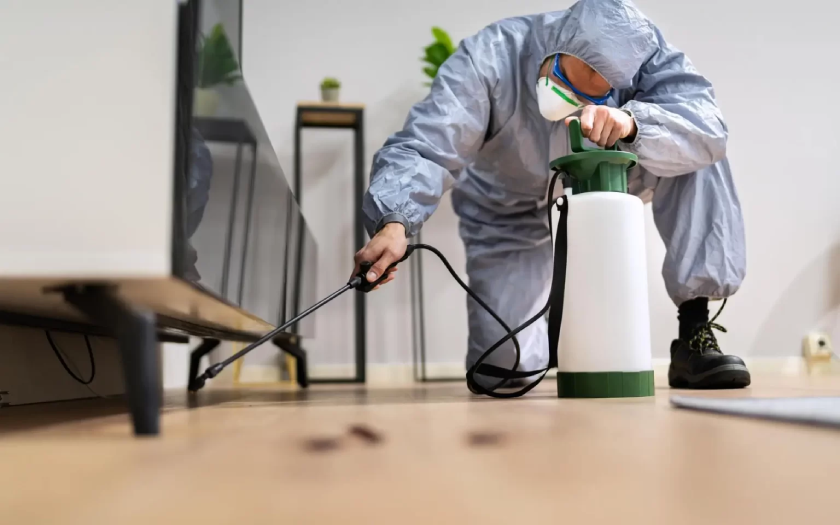 Why End of Lease Pest Control Is a Must in Melbourne