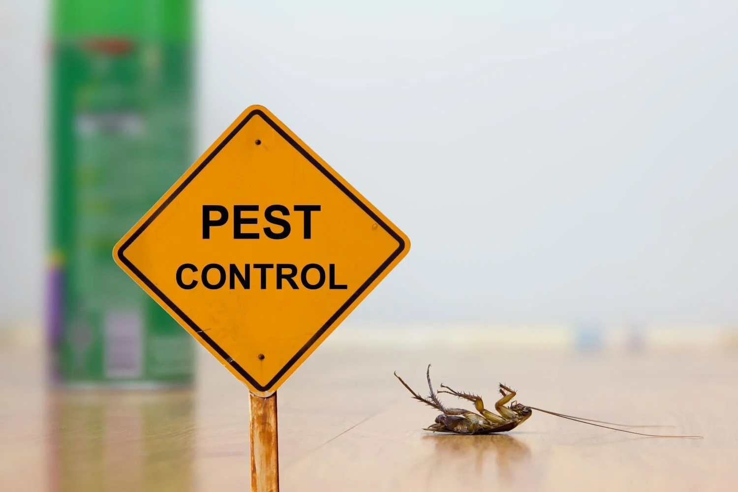 What’s The Best Treatment for Pests in Melbourne?
